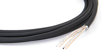 Type-C Cable